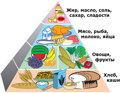 Правила питания школьников