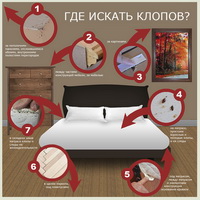Откуда берутся клопы?